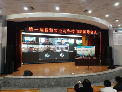会议现场