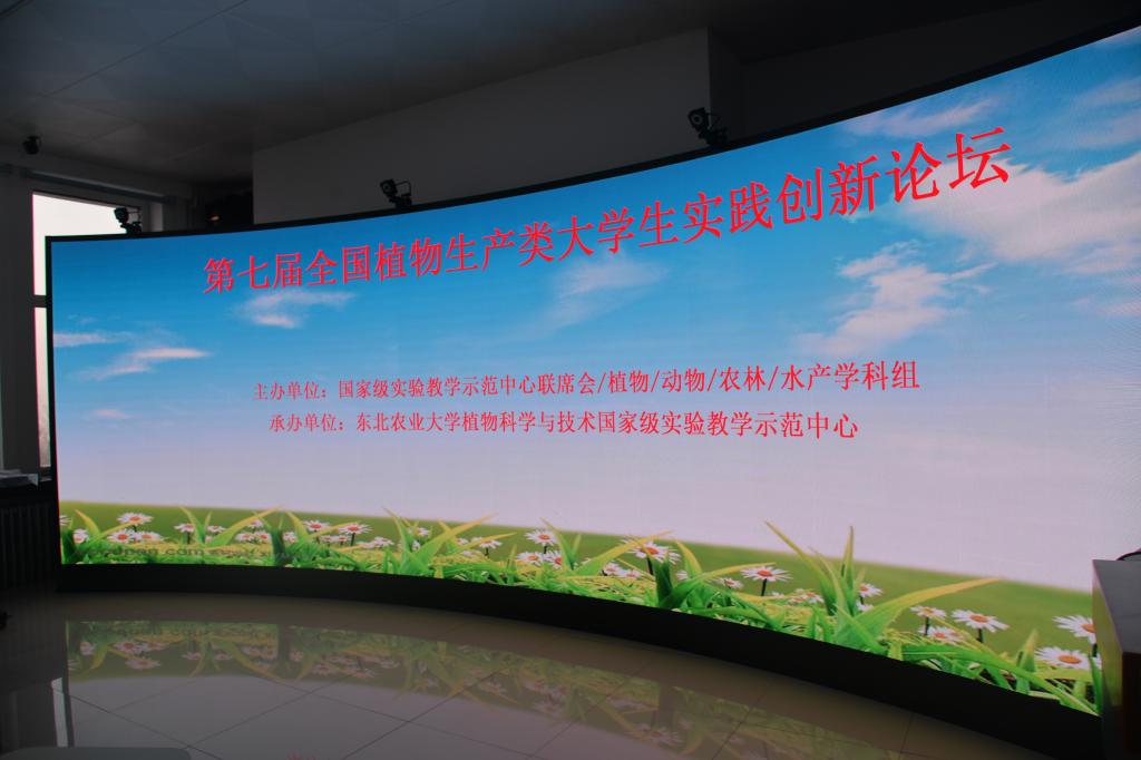 论坛现场