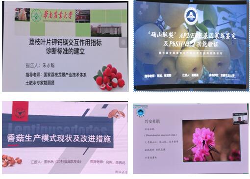 学生现场报告